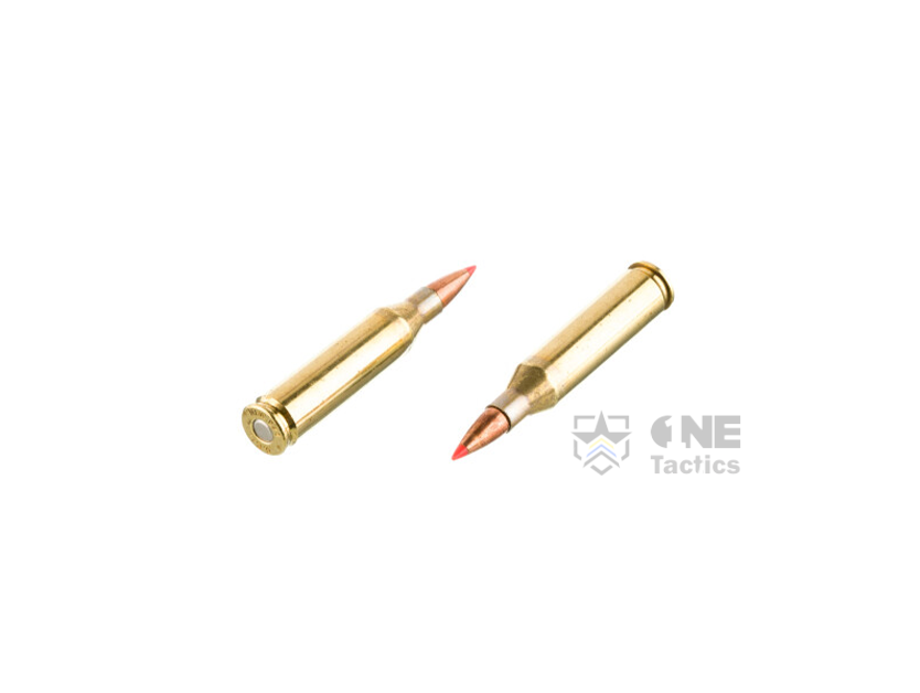 Fiocchi .243 WIN 95GR/100GR-SST&PSP AMMO
