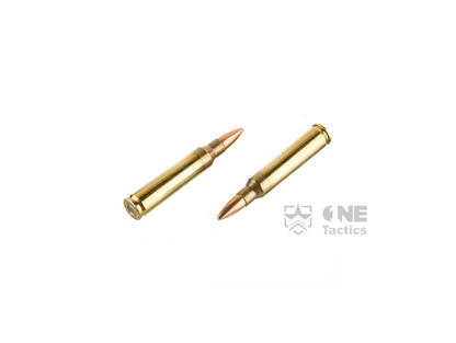 Fiocchi 5.56 NATO 55GR FMJBT AMMO