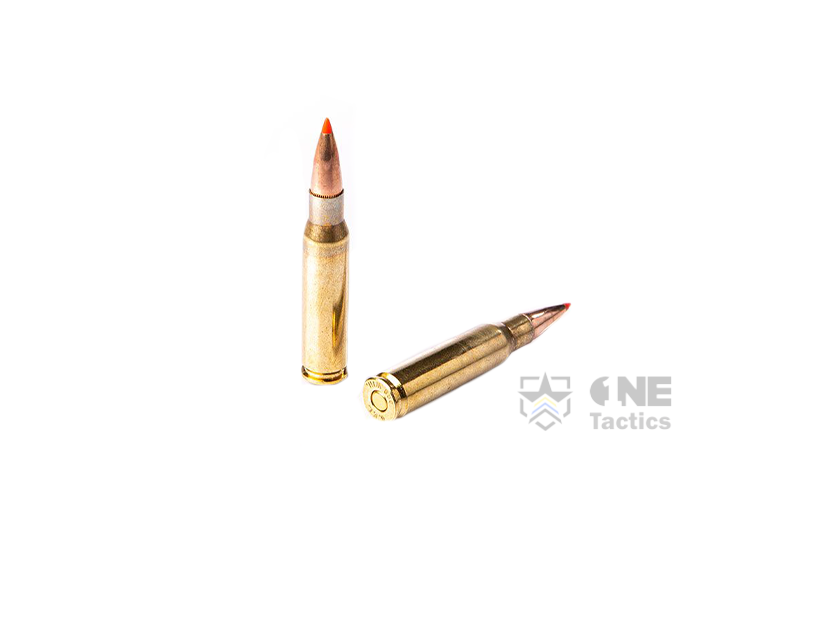 Fiocchi .308 WIN 150GR/180GR-FMJBT&SST AMMO